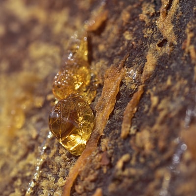 Benzoin